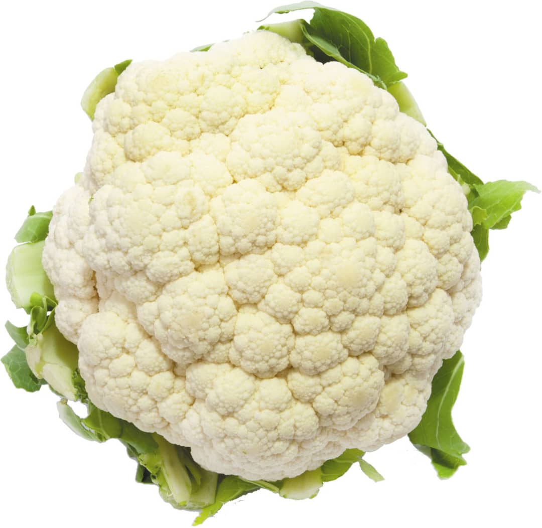 Cauliflower Head