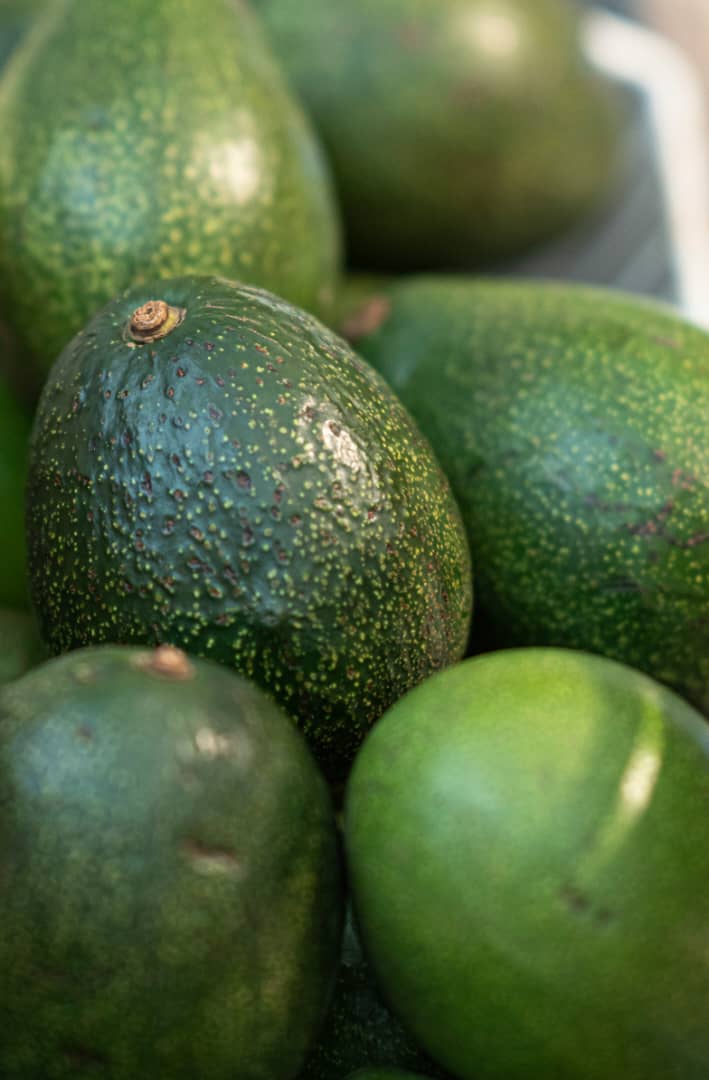 Green Avocado (each)