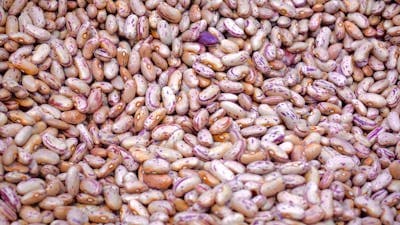 Beans (All Types) 1kg